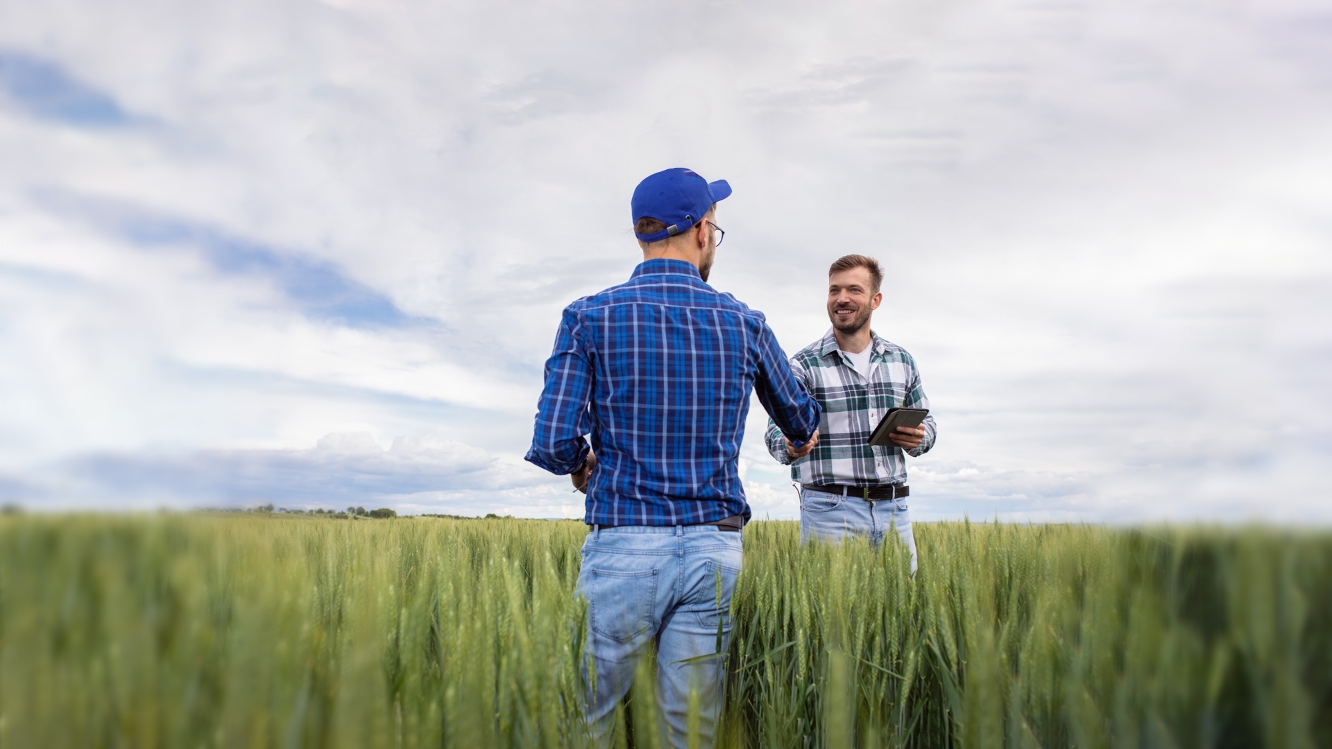 Farmer shaking hands with another farmer in the middle of a wheat field