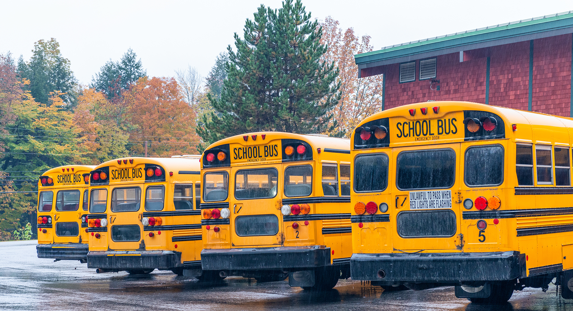 Line of School Busses